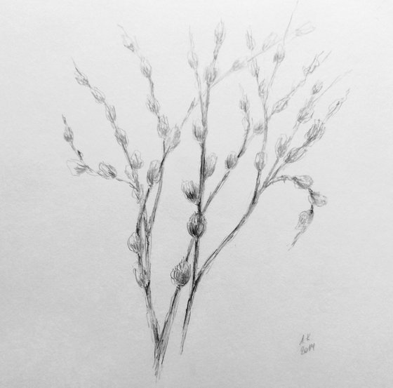 Spring Awakening.Sketch. Original pencil drawing.