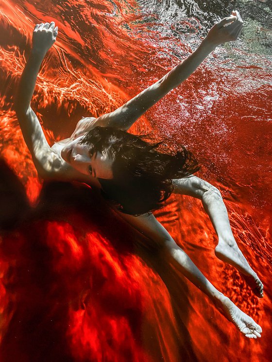 Wild Blood - underwater photograph - print on paper