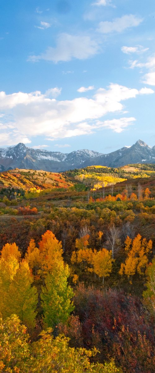 Mount Sneffels Wilderness in Autumn by Alex Cassels