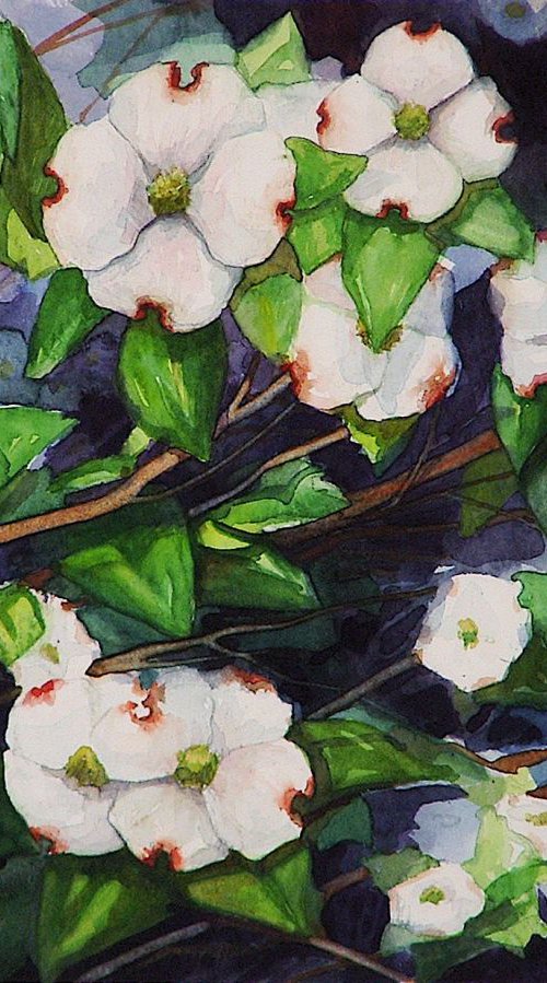 Dogwood Flowers by Rick Paller
