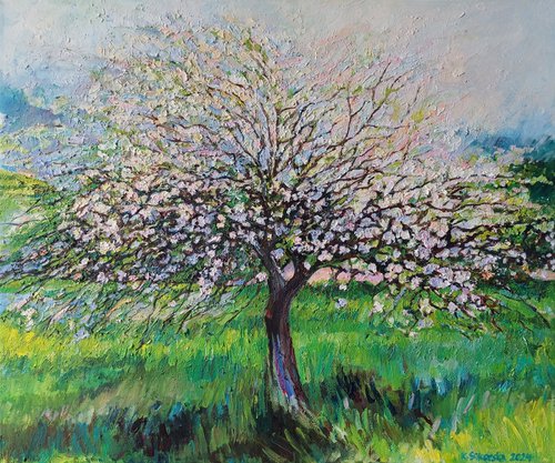 Apple Tree by Katarzyna Sikorska-Gawlas