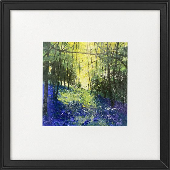 Seasons - Spring Tranquility of a Bluebell Wood framed