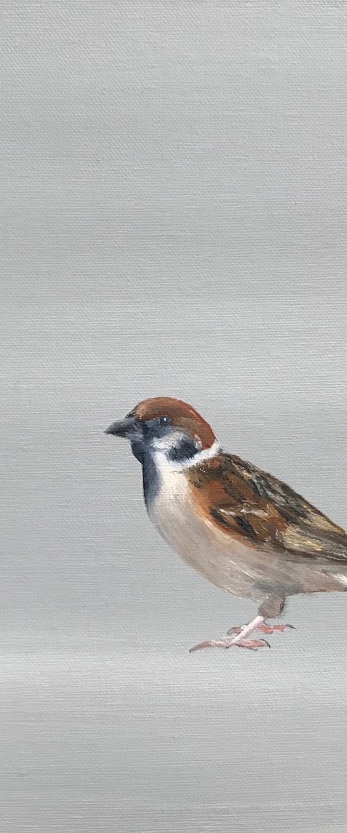 A Little Bird Told Me II by Laure Bury