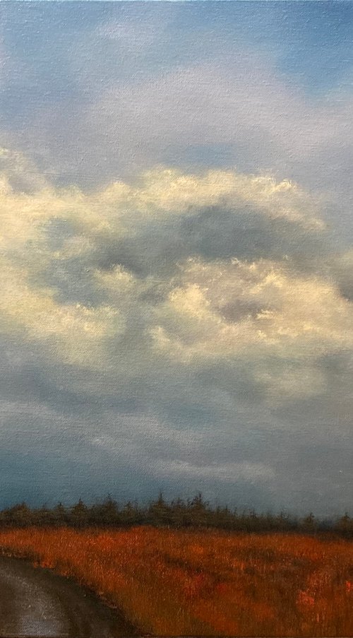 November Sky by Faith Patterson