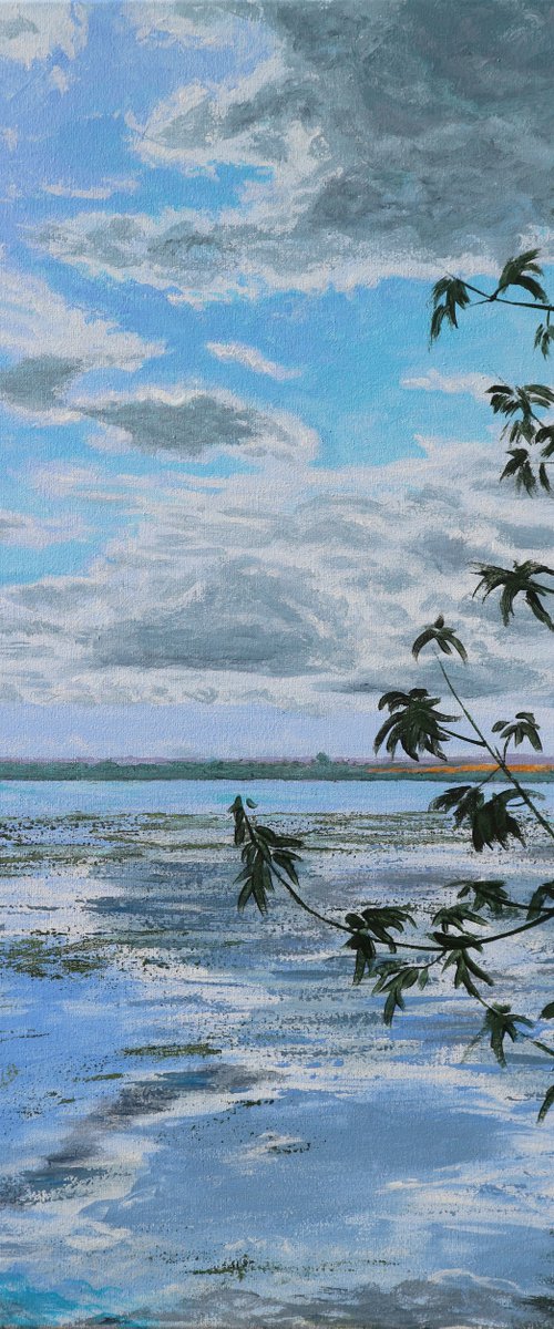 Dnieper spills, 40*60 by Dmytro Yeromenko