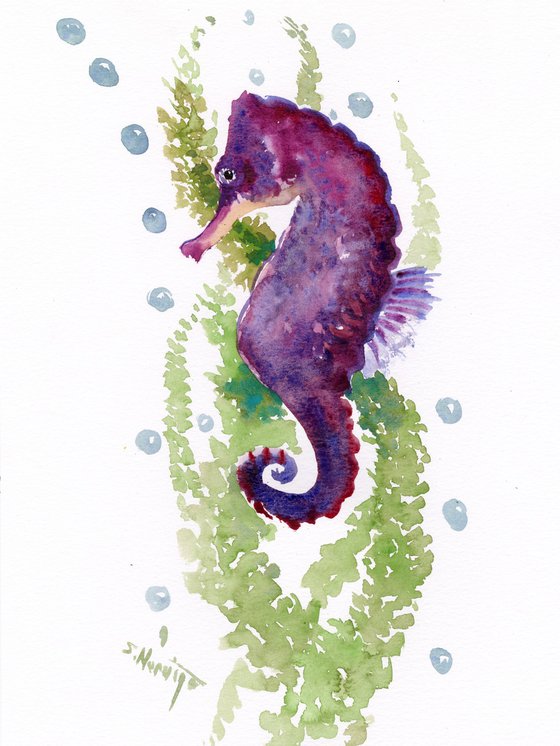 Seahorse