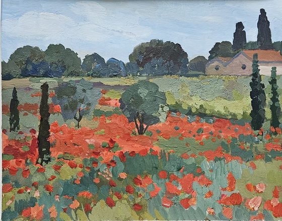 Poppies of Languedoc. French Landscape