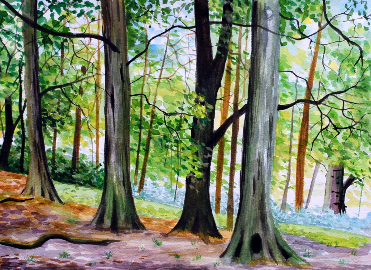Peaceful woods by Linzi Fay