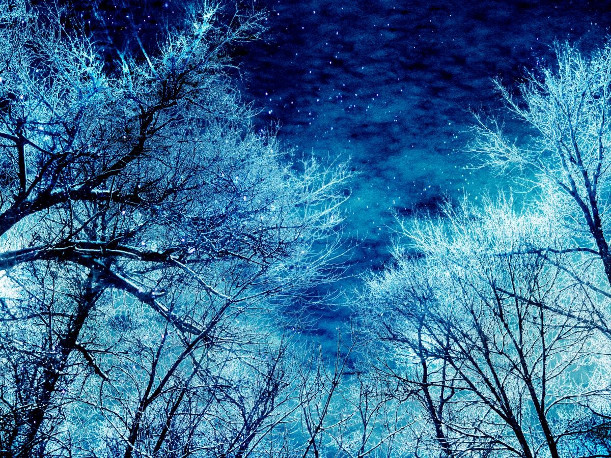 Winter magic by Julia Gogol