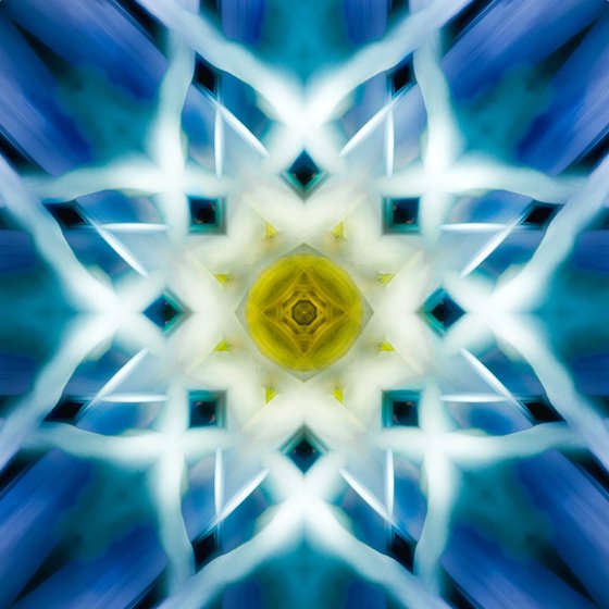 Floral Knotwork