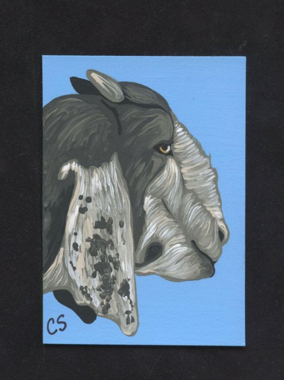 ACEO ATC Original Painting Goat Farm Animal Art-Carla Smale