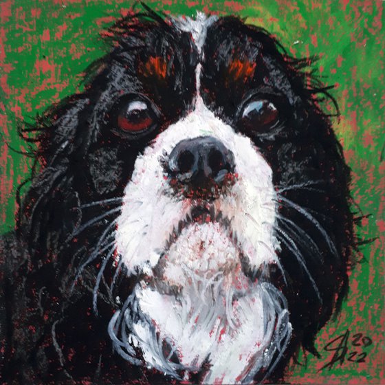 Spaniel... / FROM THE ANIMAL PORTRAITS SERIES / ORIGINAL PAINTING
