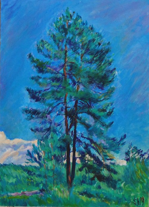 Two pines by Alexander Shvyrkov