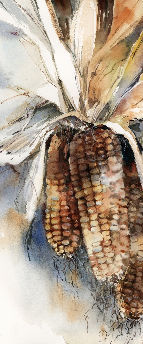 Sweet Corn Watercolor Painting by Sophie Rodionov