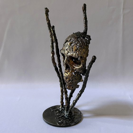 Skull 53-25