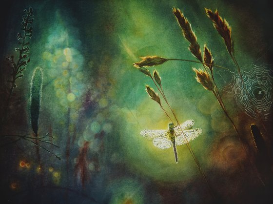 Serenity in Summer Meadow: Illuminated Dragonfly