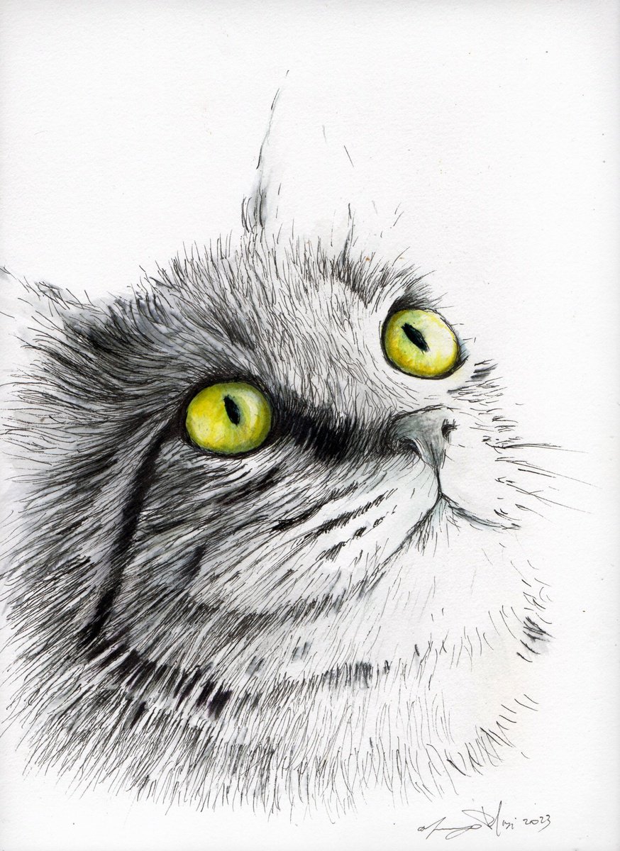 Urban And Pop Animal Ink Drawing By Maurizio Puglisi, 9 X 13", Sweet Eyes, Original Artwork