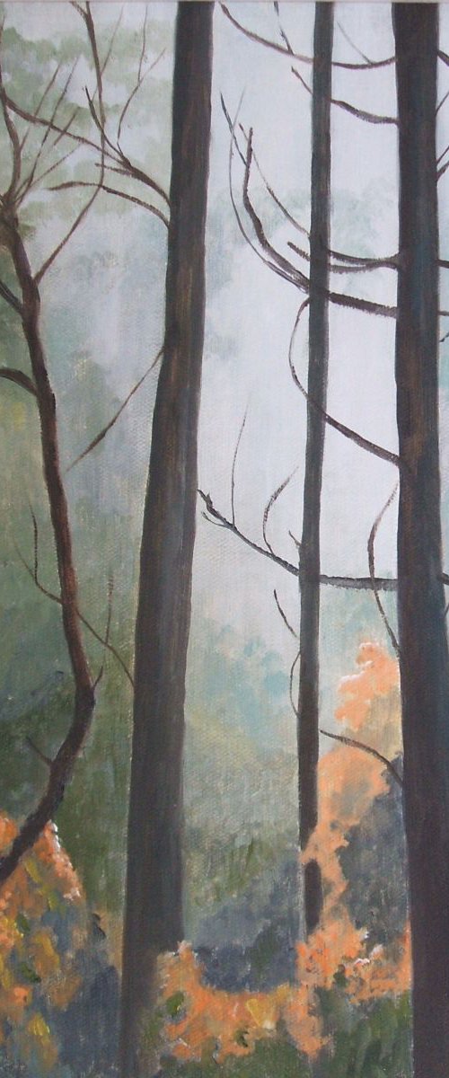 Forest Edge by Maddalena Pacini