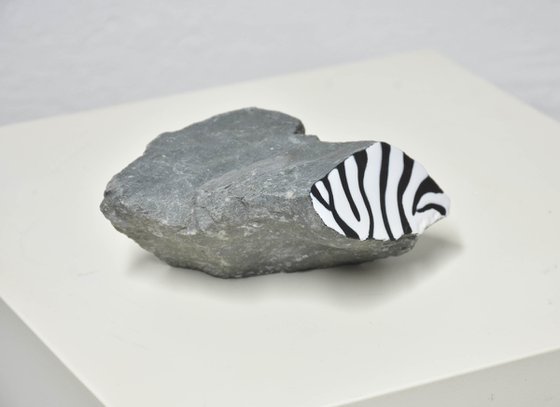 Fossilized zebra
