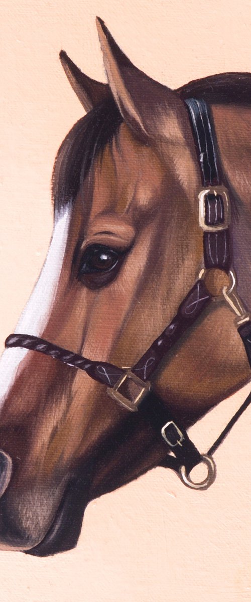 Horse Portrait 80 by Anastasia Parfilo