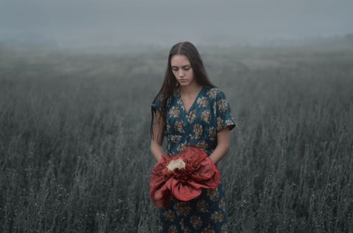 Flower II - Limited Edition 1 of 10 by Inna Mosina