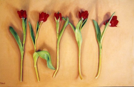 Five Red Tulips