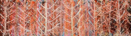 Leave No Trace /37