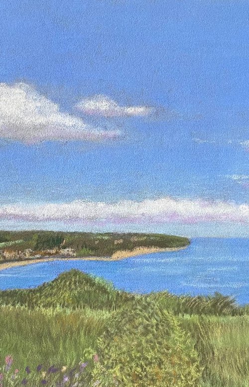Looking towards Seaton by Maxine Taylor