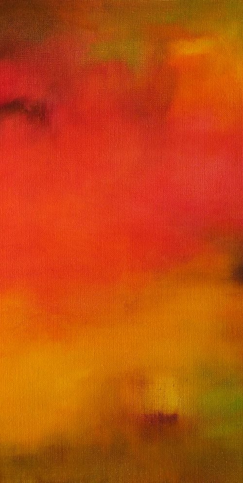 Fire Opal 5 / Mexico by Marta Zamarska