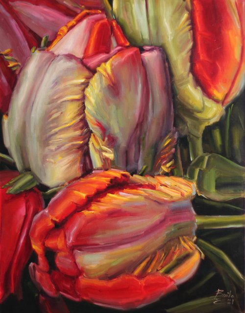 Parrot tulips by Catherine Braiko
