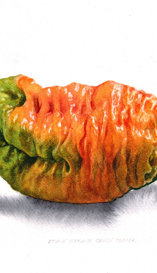 Brain Strain Chili Pepper by REME Jr.