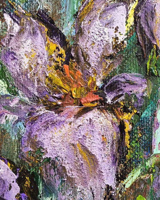 Violet in Bloom
