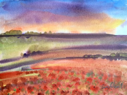 Upcerne poppy fields sunset to dusk, Dorset by Samantha Adams