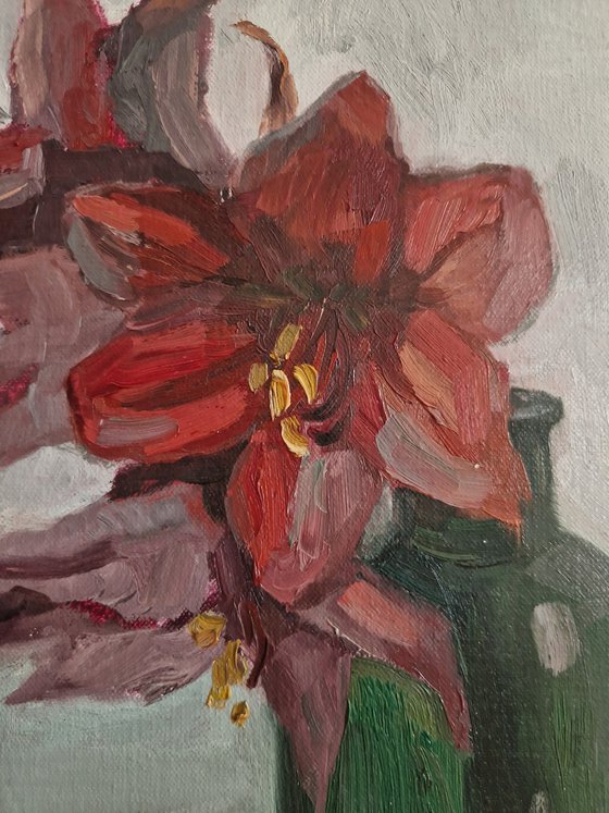 Still-life with flower "Red Amaryllis"