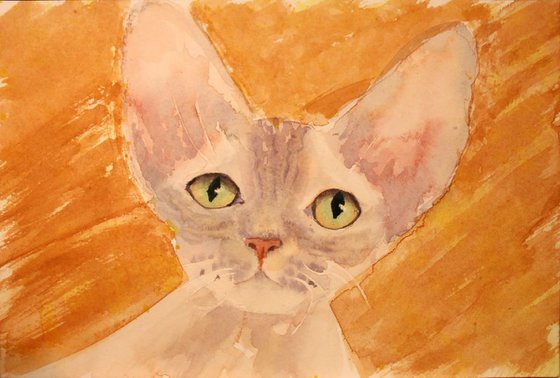 CAT PORTRAIT VI  /   Devon Rex  /  ORIGINAL PAINTING