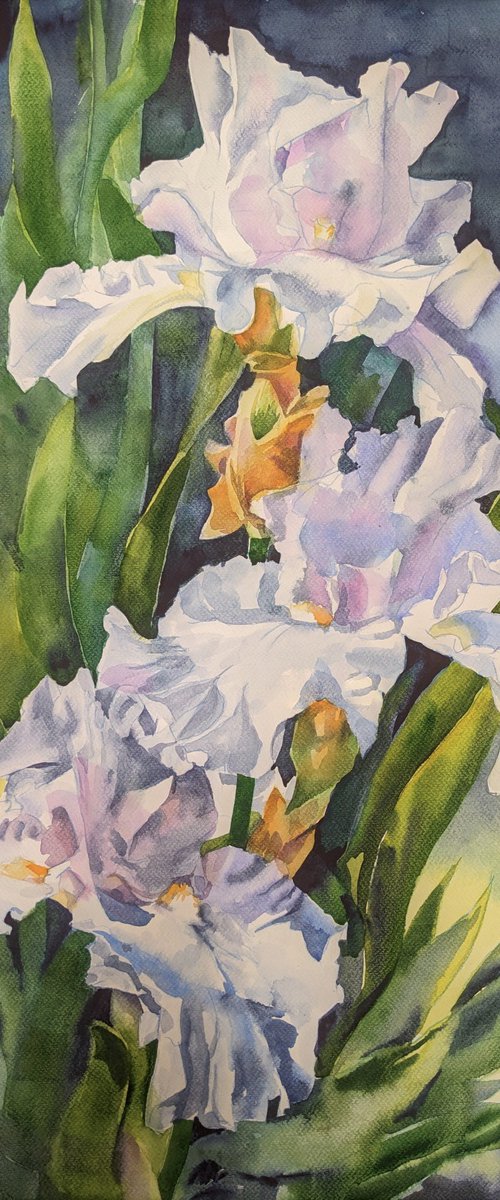 WHITE IRISES #3 by Yurii Pashkov