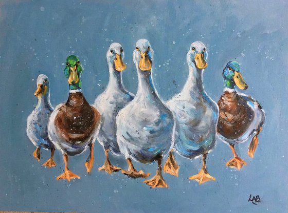Reservoir Ducks