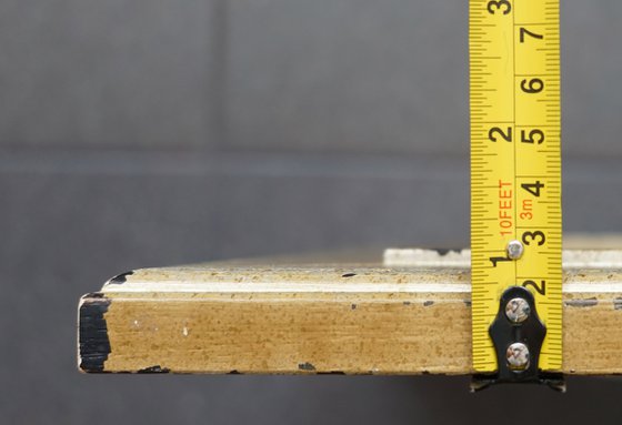 The prince and Rapunzel at the castle