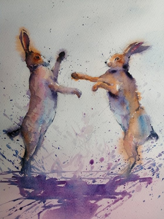 fighting hares