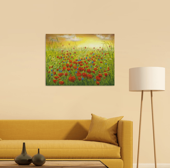 Sunset at the poppy field