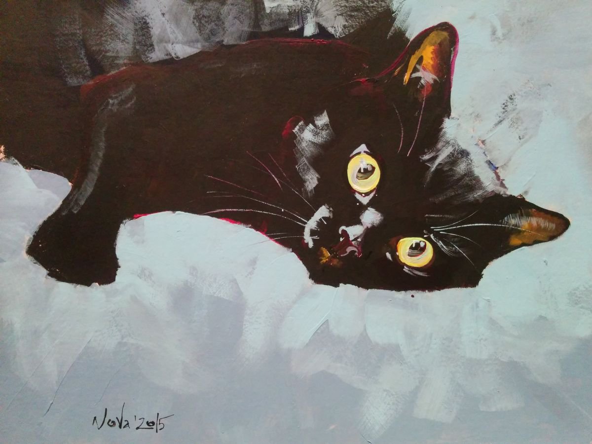 Black Cat Etude II by Jelena Nova