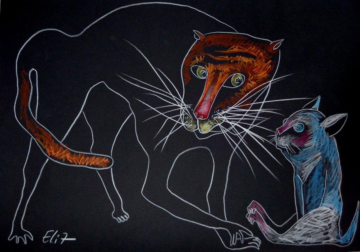 Expressive Animal Pencil Drawing By Elisheva Nesis, 13 X 9, Welcome To The Club!, Original Artwork