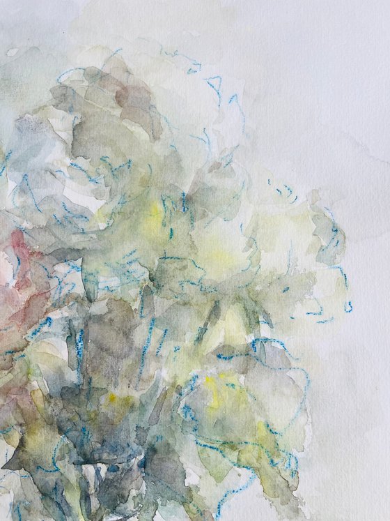 Roses 36x47cm 2025