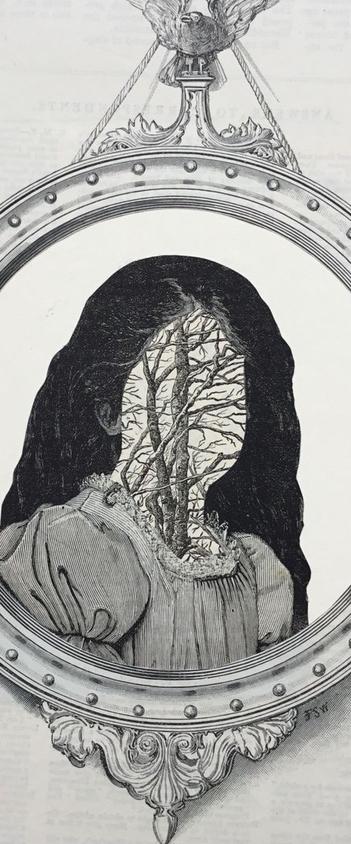 Face in the Mirror by Tudor Evans