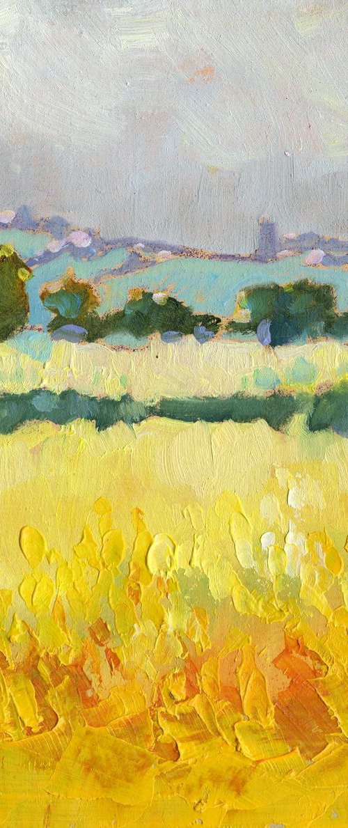Yellow Mustard Fields at Oundle by Mary Kemp
