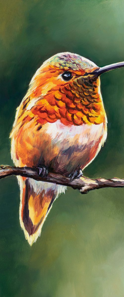 Rufous hummingbird in the wild by Lucia Verdejo