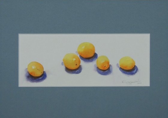 Mirabelles in a line