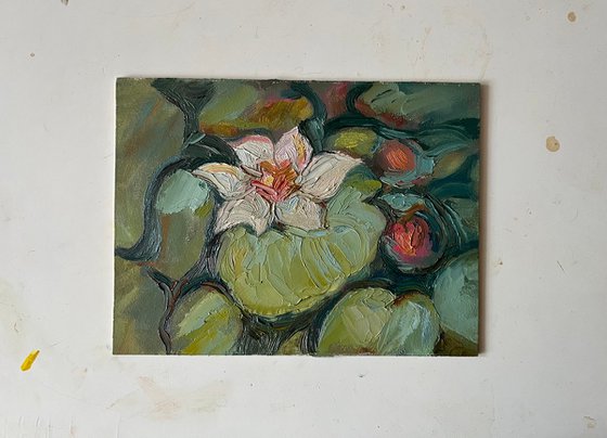 Pond plants impasto oil artwork from Ukraine, original miniature painting