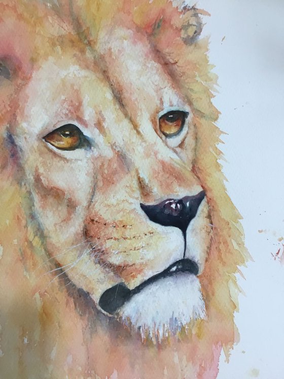 Portrait of a lion