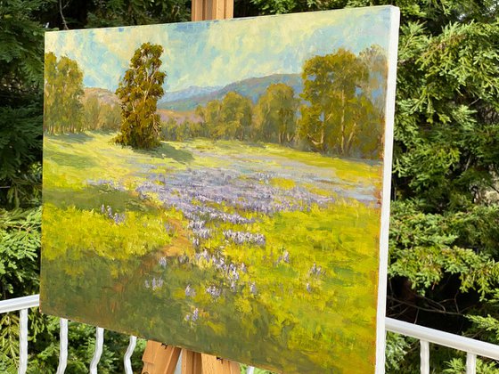 Spring Meadow With Lupine Flowers